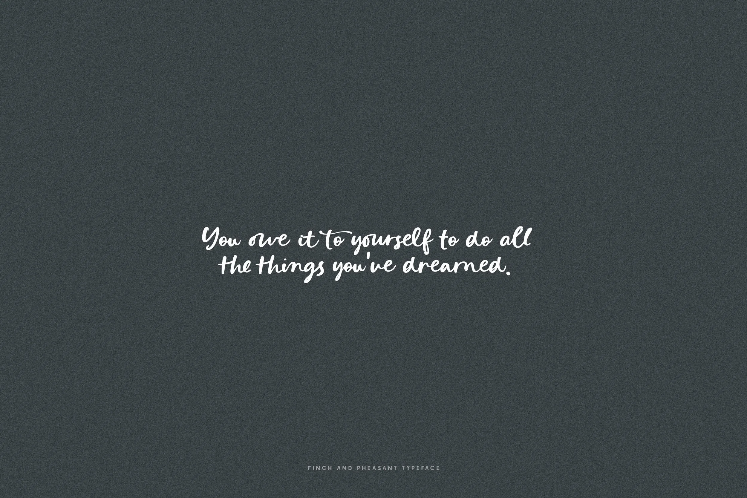 PhesantAndFinch_Preview6 copy.jpg