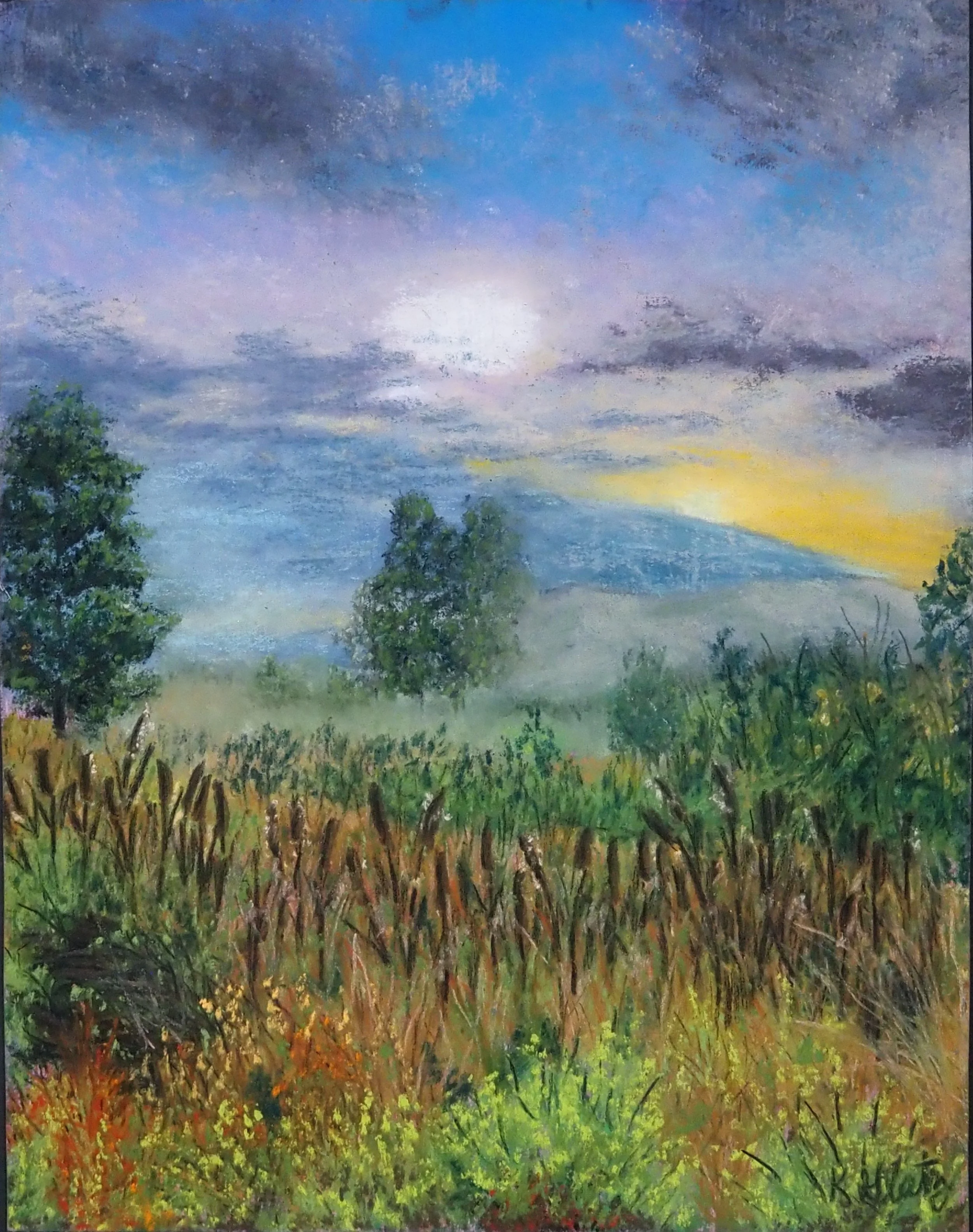 Cattails in the Mist