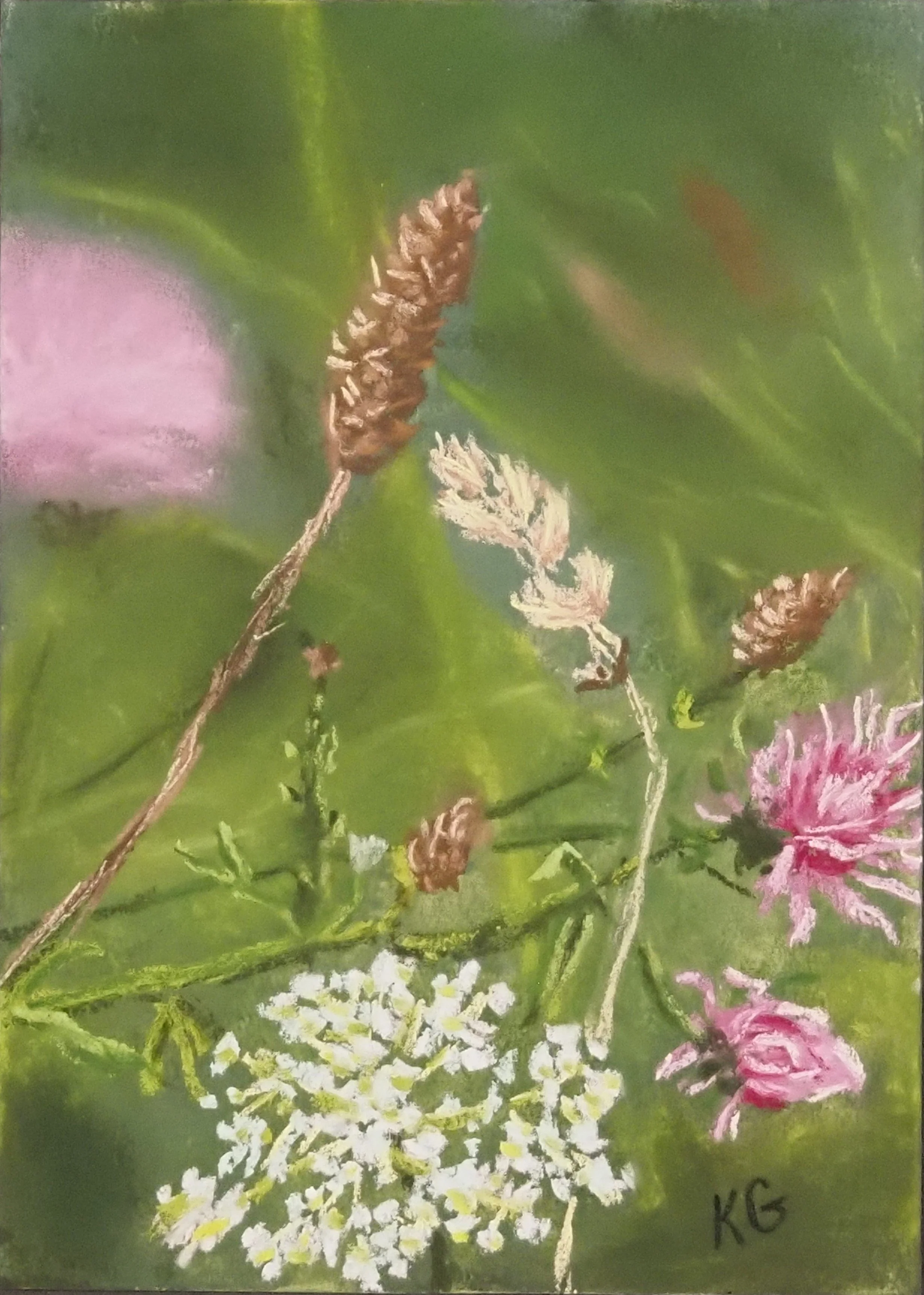 summer wildflowers 2.JPG