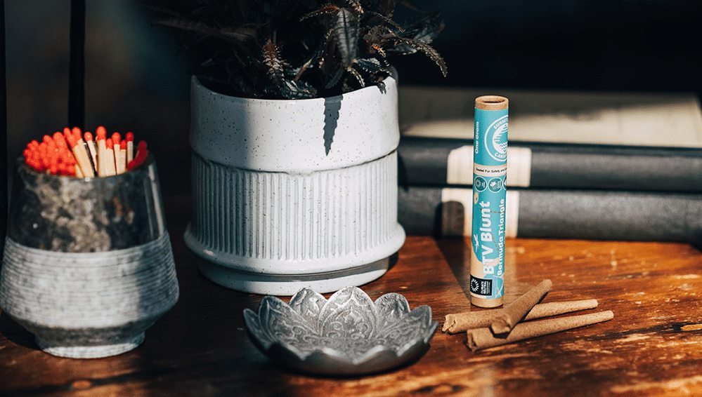 Cultivar Spotlight Series: Bermuda Triangle