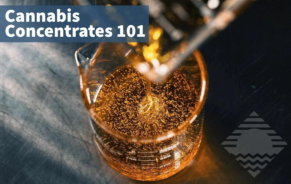 Cannabis Concentrates 101: The Vermonter Guide To High Potency Hash And Beyond