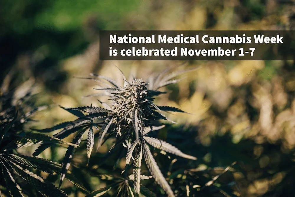 National Medical Cannabis Week 2026: What Vermont Medical Cannabis Patients Should Know