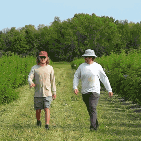 GIF of two Sunset Lake Cannabis employees walking through the field together, one with his arm around the other's shoulders.