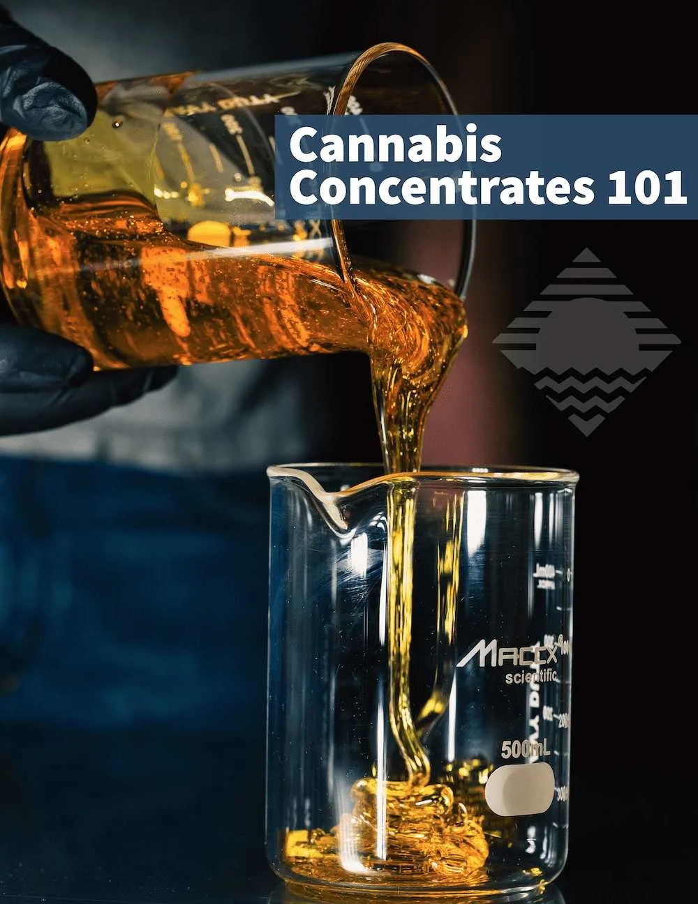 Photo of a gloved hand pouring a beaker of cannabis conentrate into another beaker.