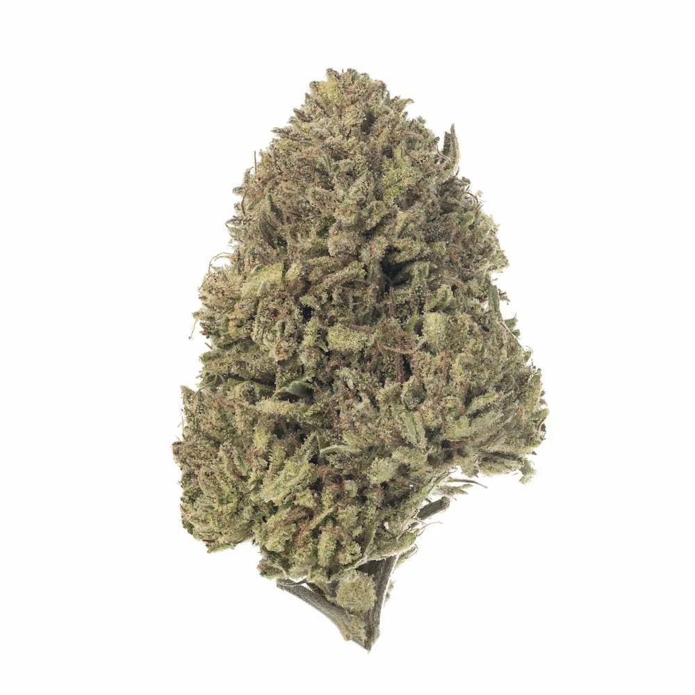 Close up photo of a bud of Hella Jelly strain cannabis flower grown by Sunset Lake Cannabis in South Hero, VT.