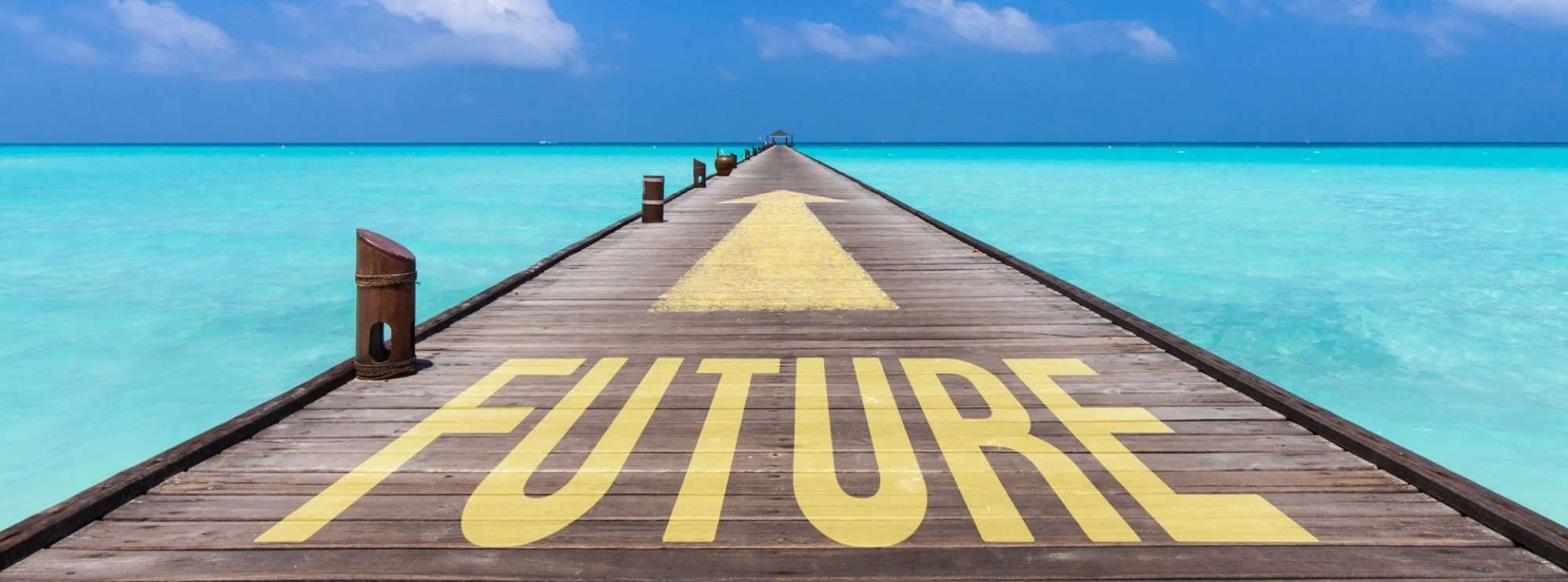 Unleashing Creativity with Blue Ocean Strategy: A Catalyst for Web Development Agencies