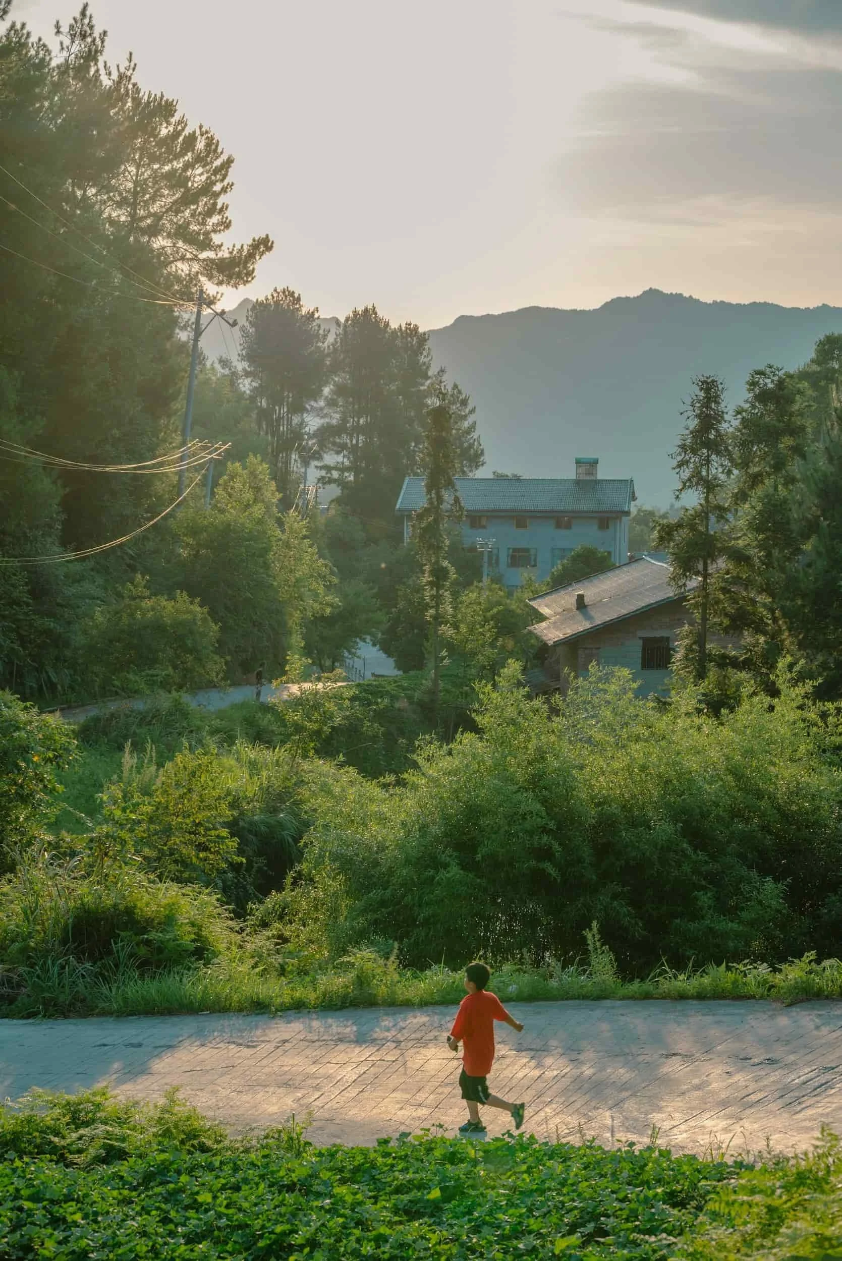 A person in an orange shirt walks on a road surrounded by lush greenery, with houses and mountains in the background at sunset.