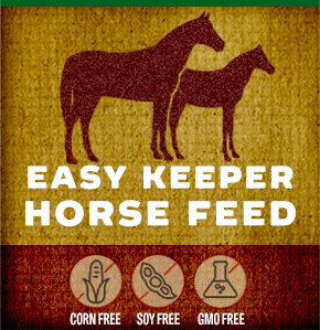 easy+keeper+horse+feed.png