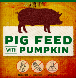 Pig+Feed+with+Pumpkin.png