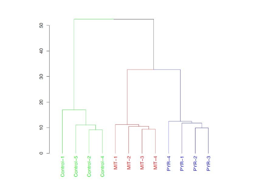 RNAseq figure 2.jpg