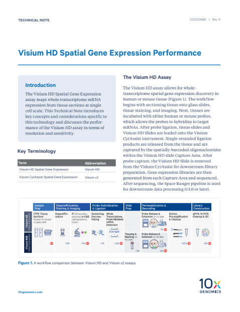 Visium HD | Spatial Transcriptomics — Admera Health