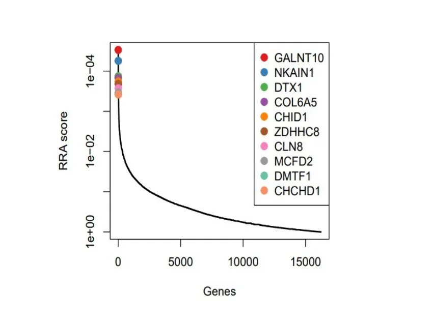 CRISPR.Others figure 5.jpg