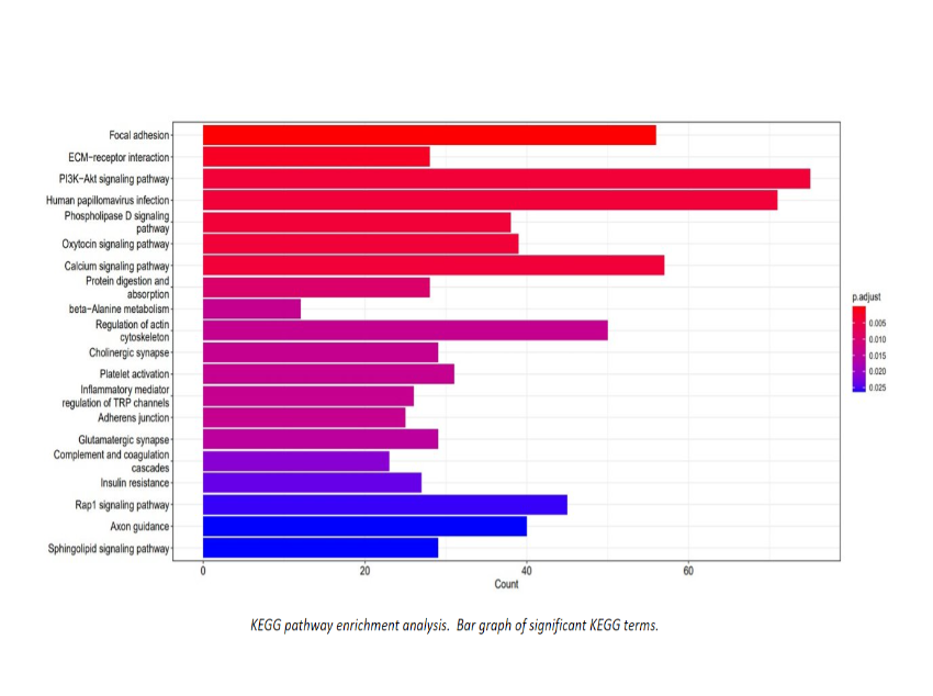 Screenshot 2024-05-14 145254.png