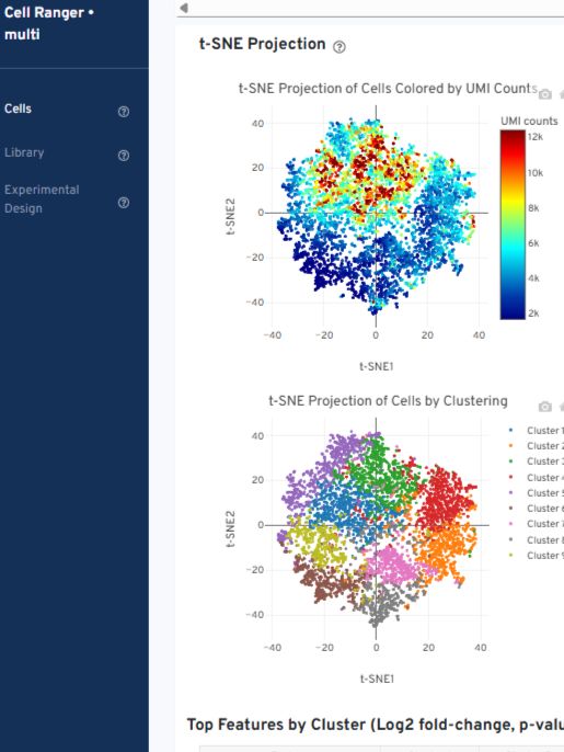10x Genomics single-cell gene expression