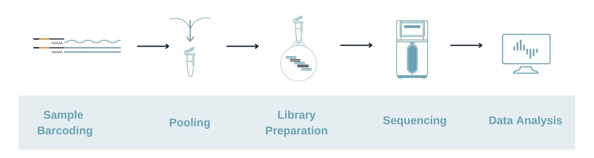 High Throughput RNA-seq — Admera Health