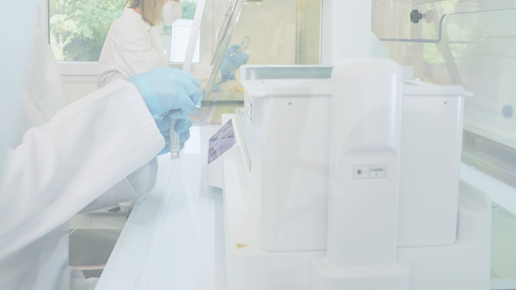 Getting Started with Spatial Transcriptomics: Key Considerations Before ...