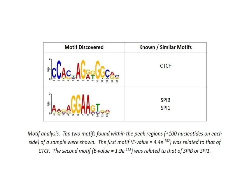 ChIP-seq/ATAC-seq/CUT&RUN Demo Data — Admera Health
