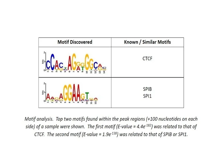 ChIP-seq/ATAC-seq/CUT&RUN Demo Data — Admera Health