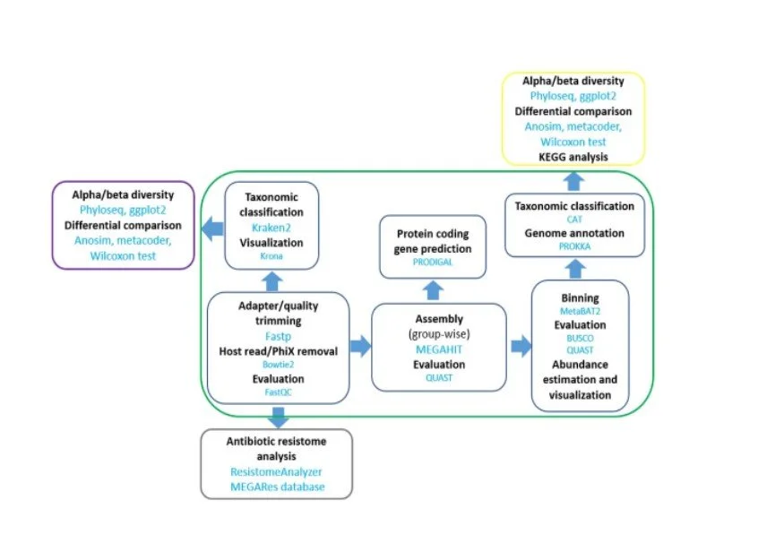 Metagenomics Figure 6.jpg