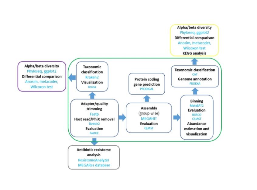 16S Metagenomics Single Sample Aggregate Report — Admera Health