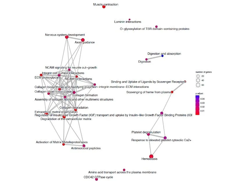 rnaseq figure 6.jpg