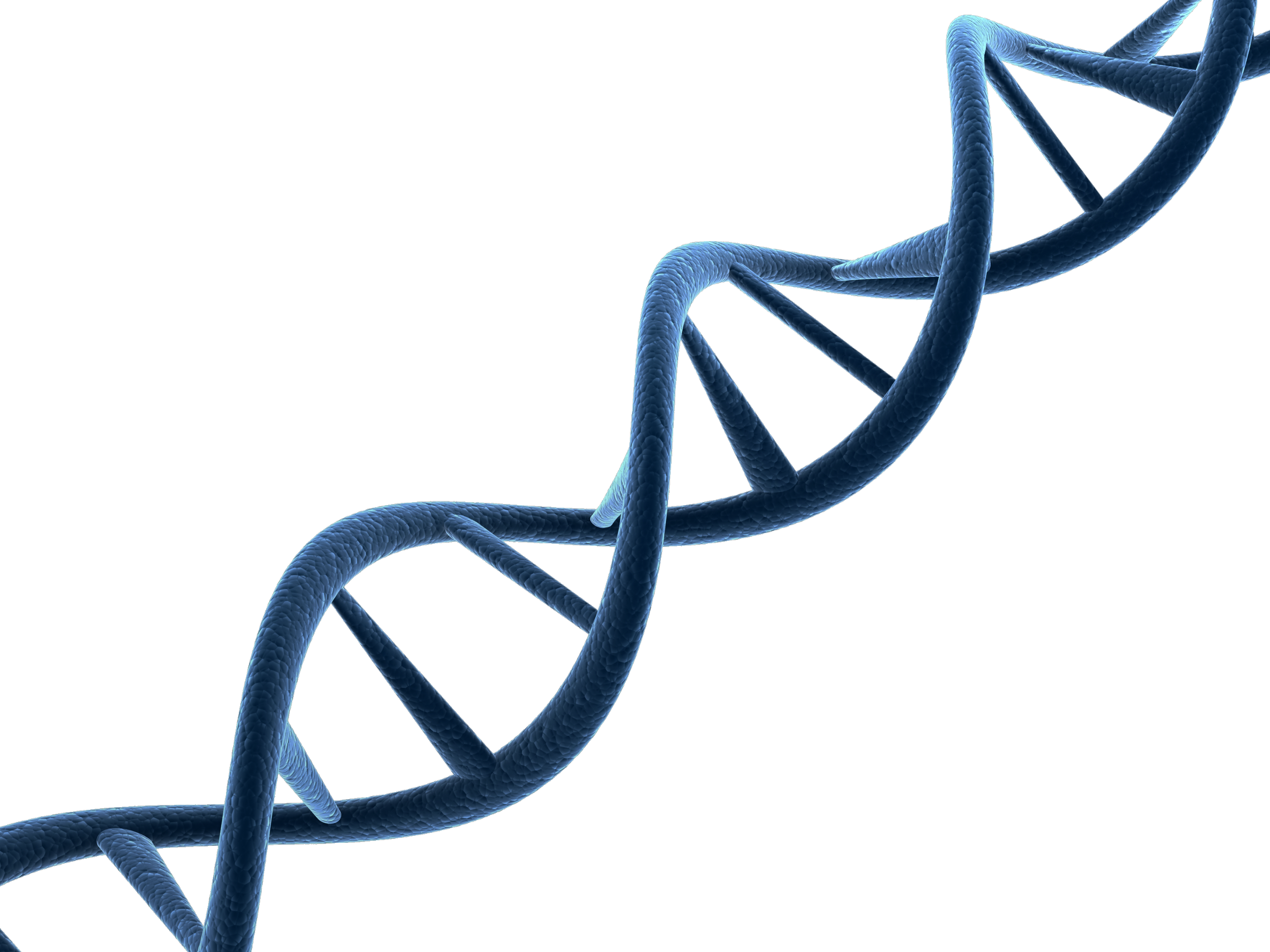 Patterns In Dna Molecule