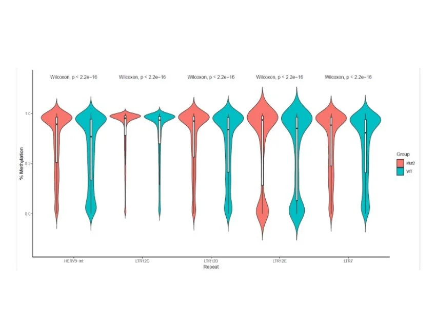 Methylseq figure 1.jpg