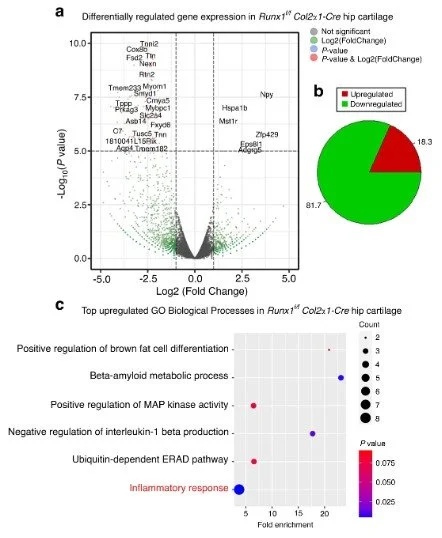 rnaseq publication image 1.jpg
