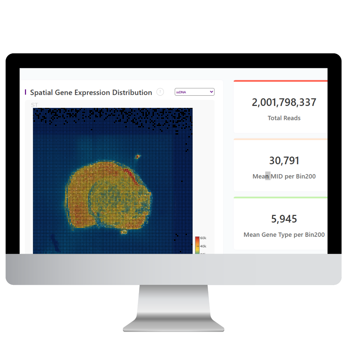 Stereo-seq spatial transcriptomics