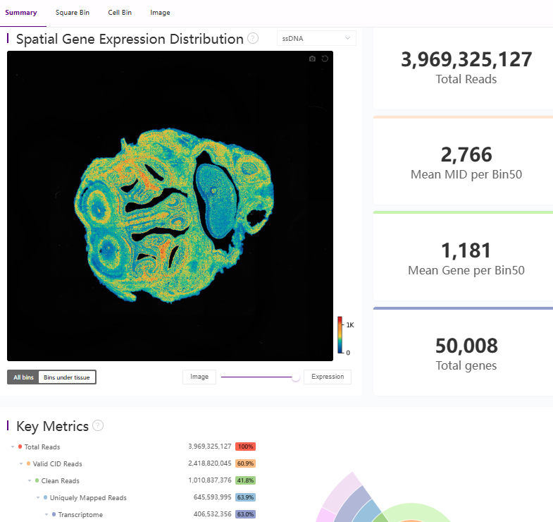 stereo-seq demo data report FFPE sample