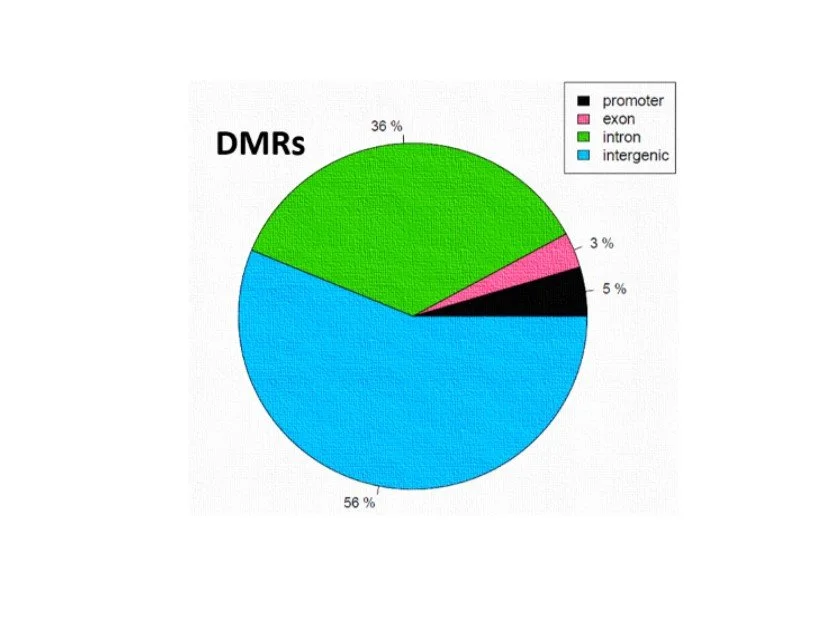 Methylseq figure 5.jpg