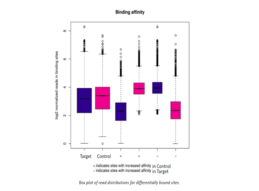 Screenshot 2024-05-14 145308.png