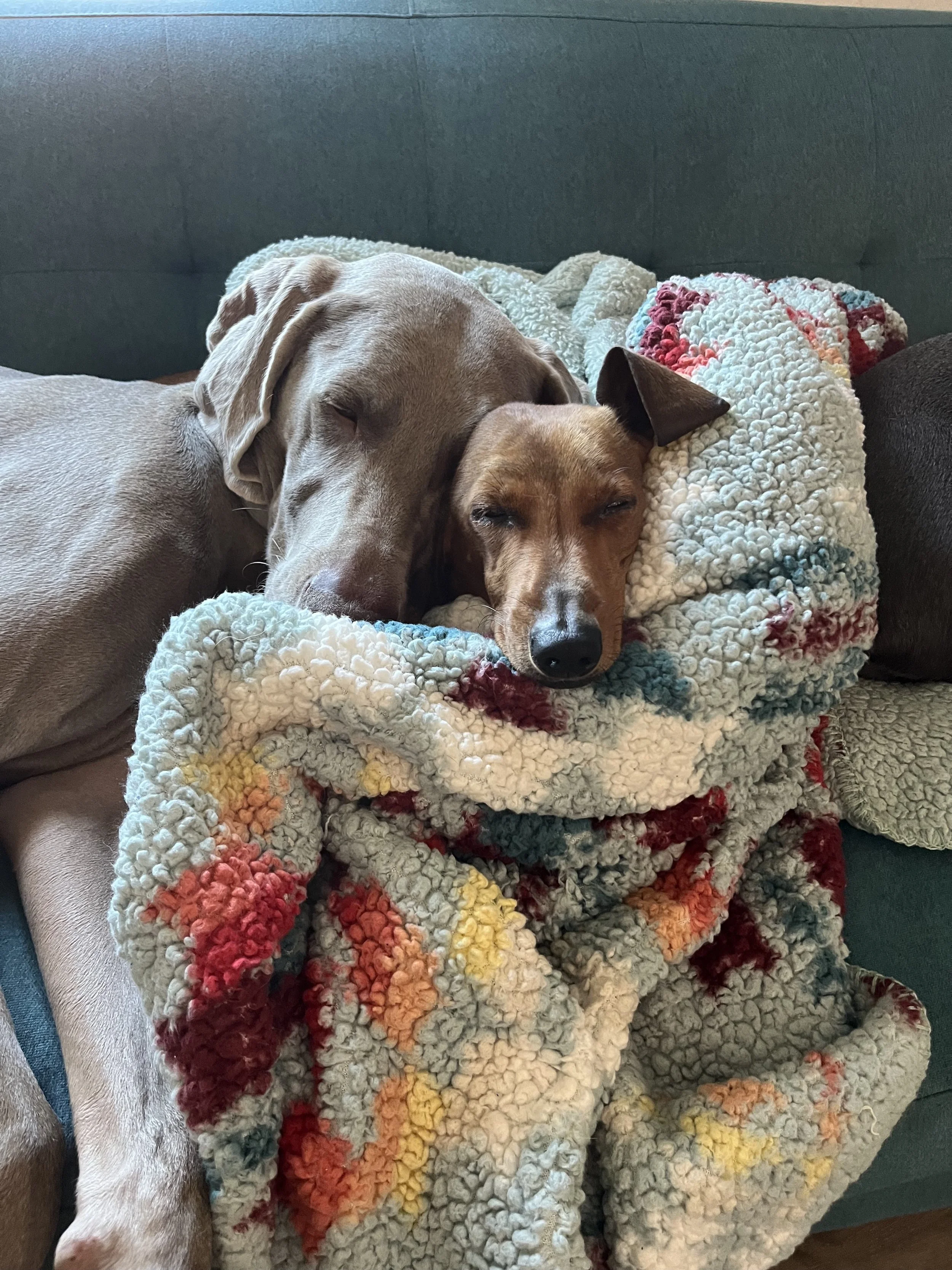 snuggles.jpg