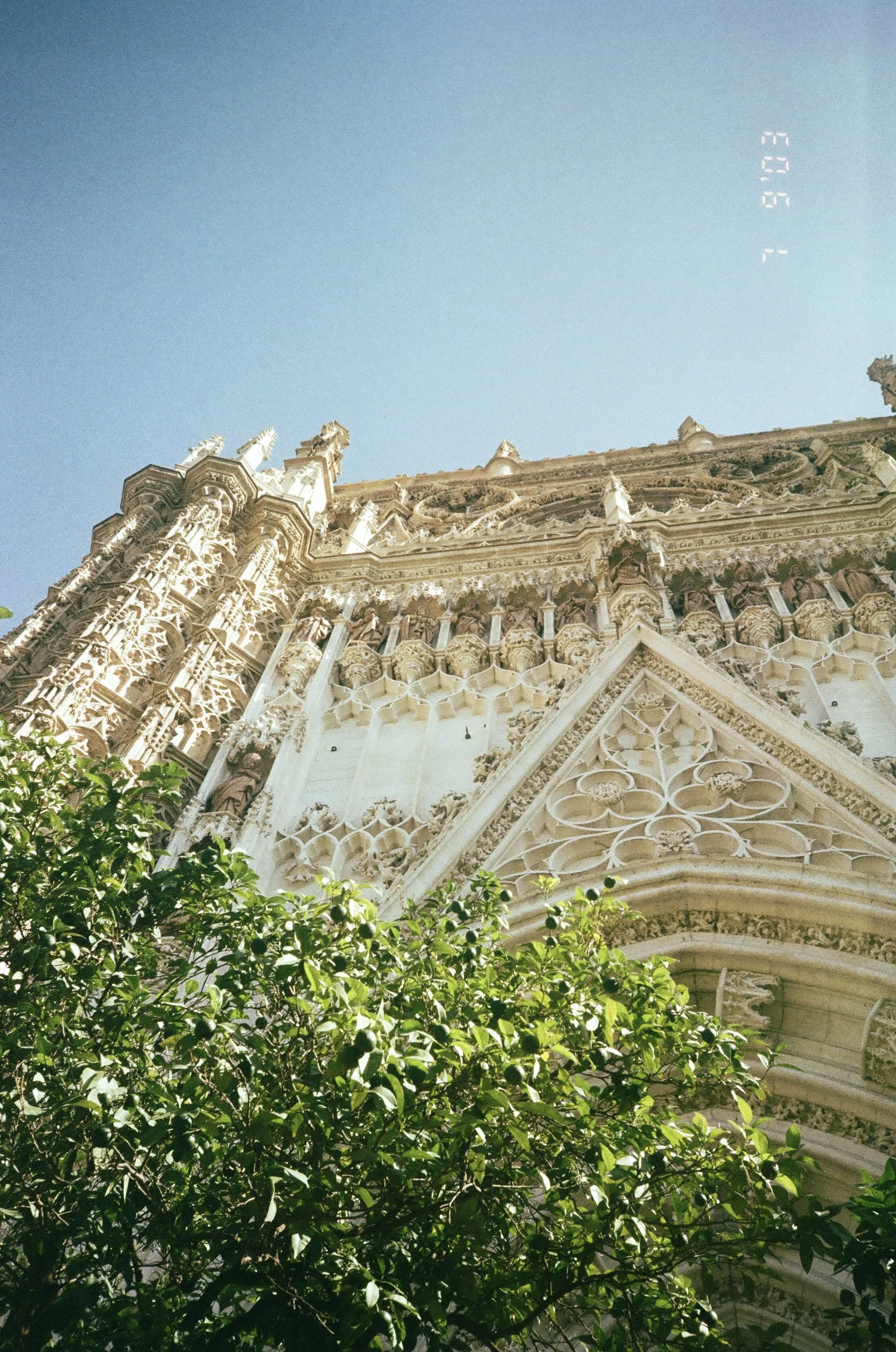 IMG_8720.jpg
