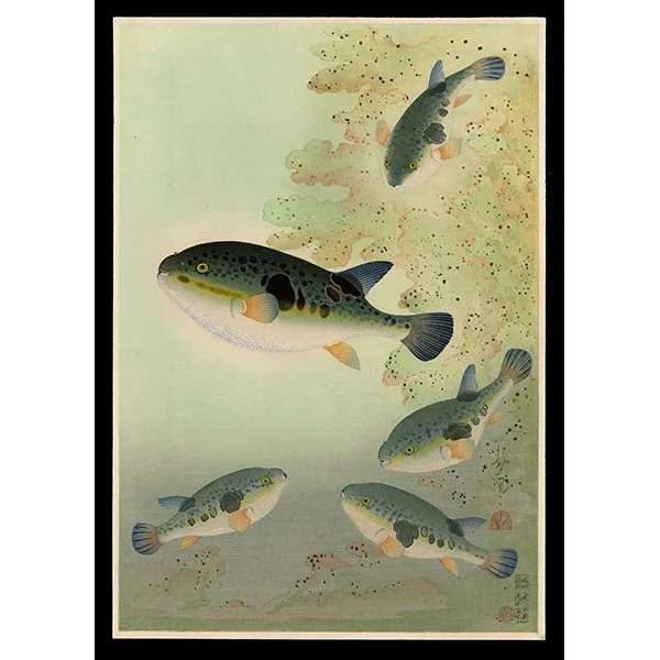 <b>PUFFERFISH (FUGU)</b> / <em>Bakufu Ohno<br>1940<br><br><b>SOLD</b></em>