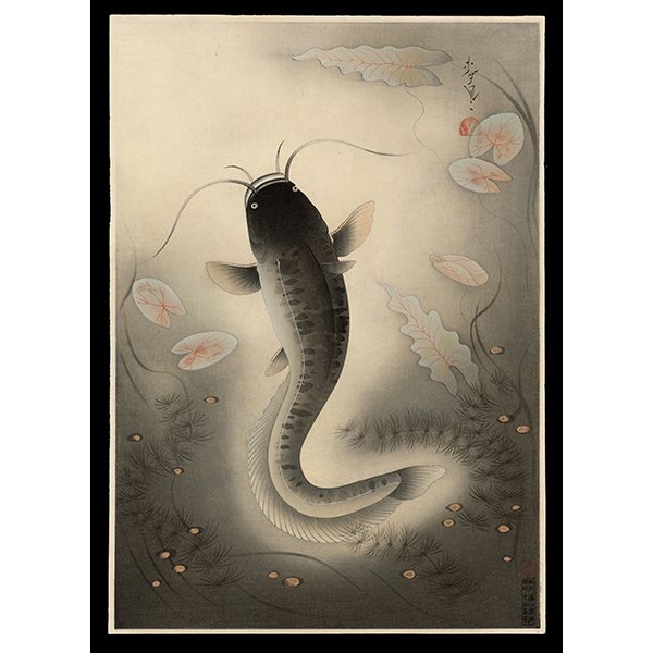 <b>CATFISH (NAMAZU)</b> / <em>Bakufu Ohno<br>1938<br><br><b>SOLD</b></em>