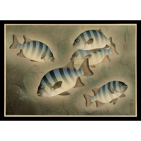 <b>ROCK SEA BREAM (ISHIDAI)</b> / <em>Bakufu Ohno<br>1939<br><br><b>SOLD</b></em>