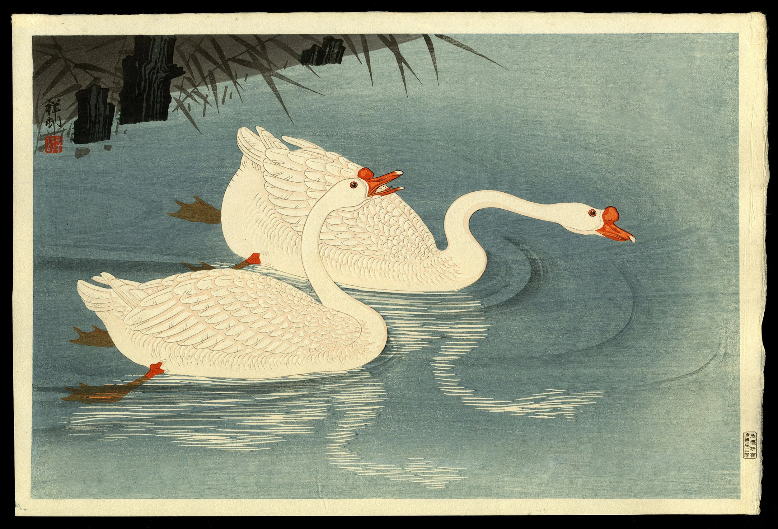 shin-hanga-ohara-shoson-swans-and-reeds.jpg