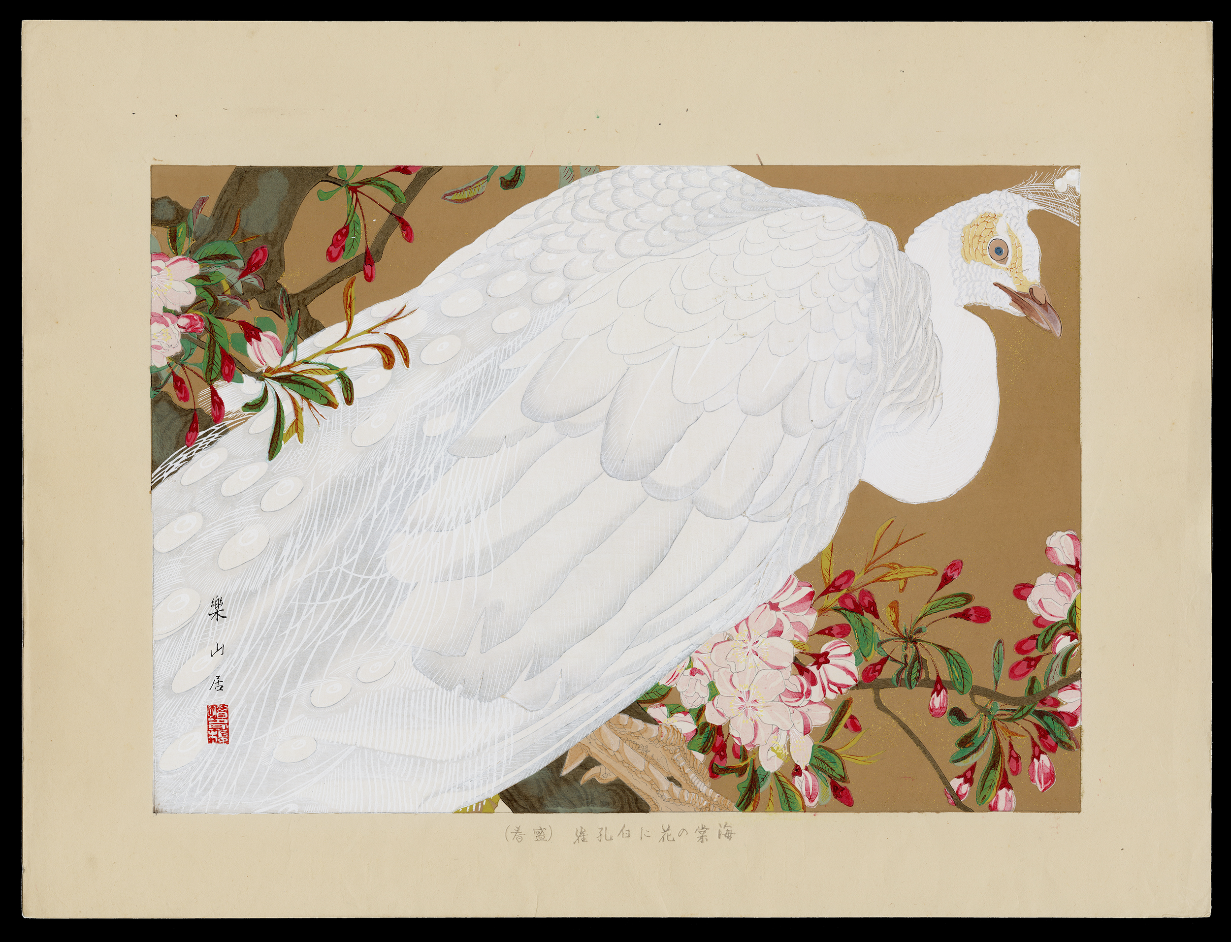 Shin-Hanga-Tsuchiya-Rakusan-Large-White-Peacock.png
