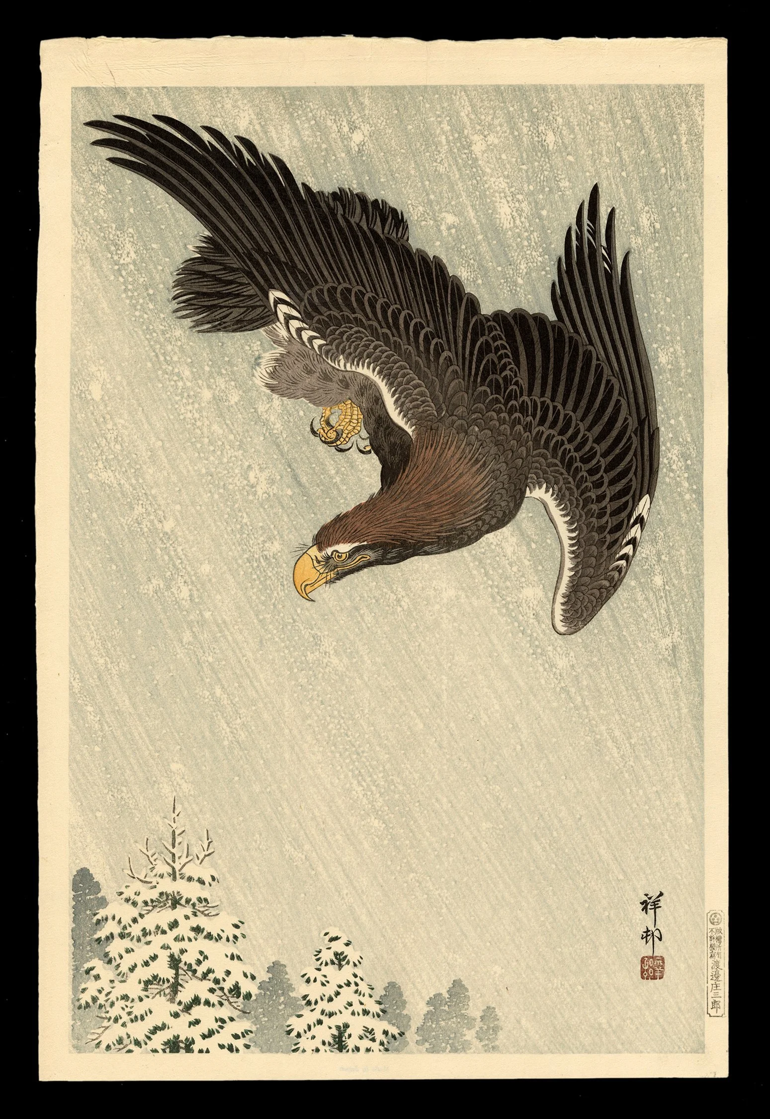 Shoson_Eagl-web.jpg