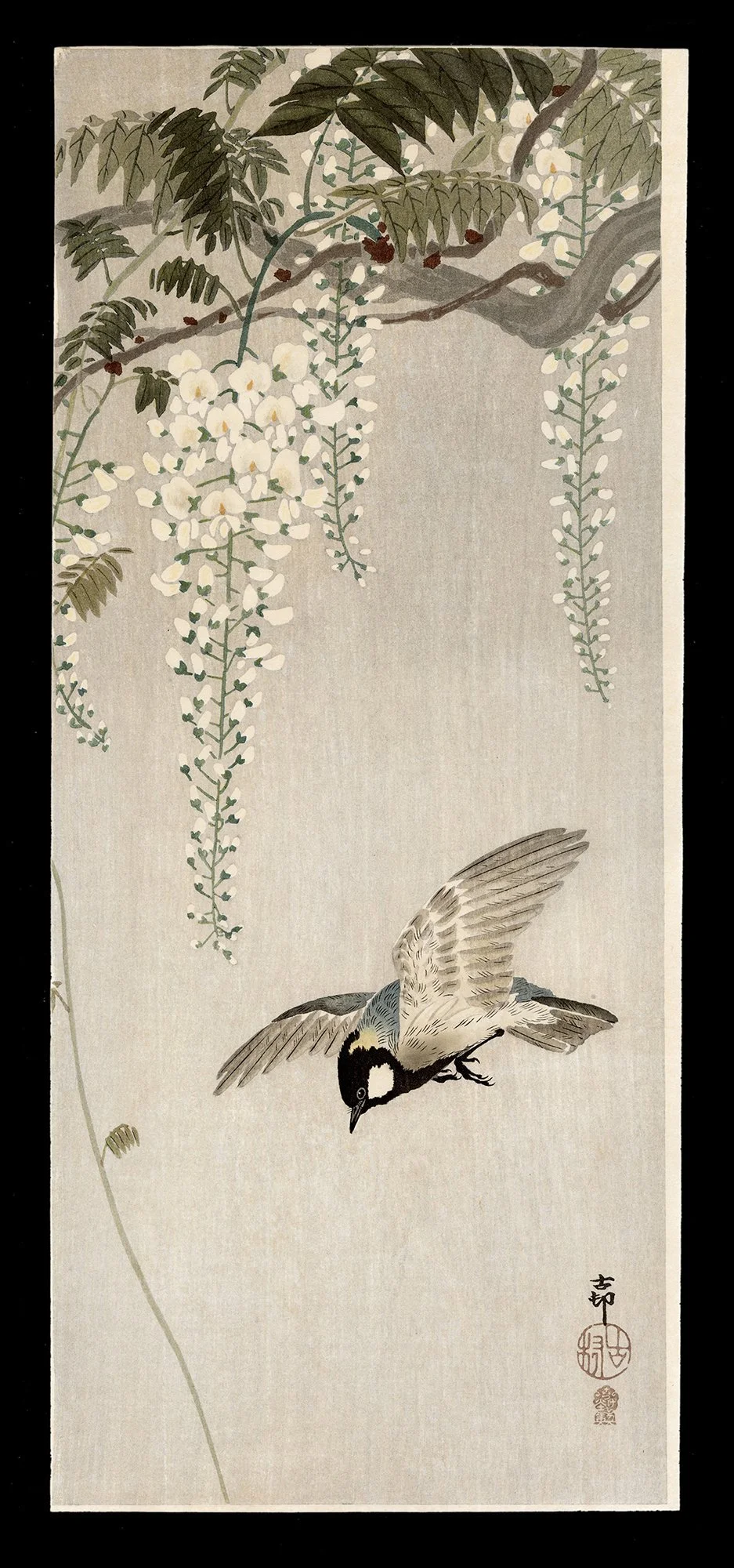 Koson_Tit_in_Flight_and_Wisteria-web.jpg