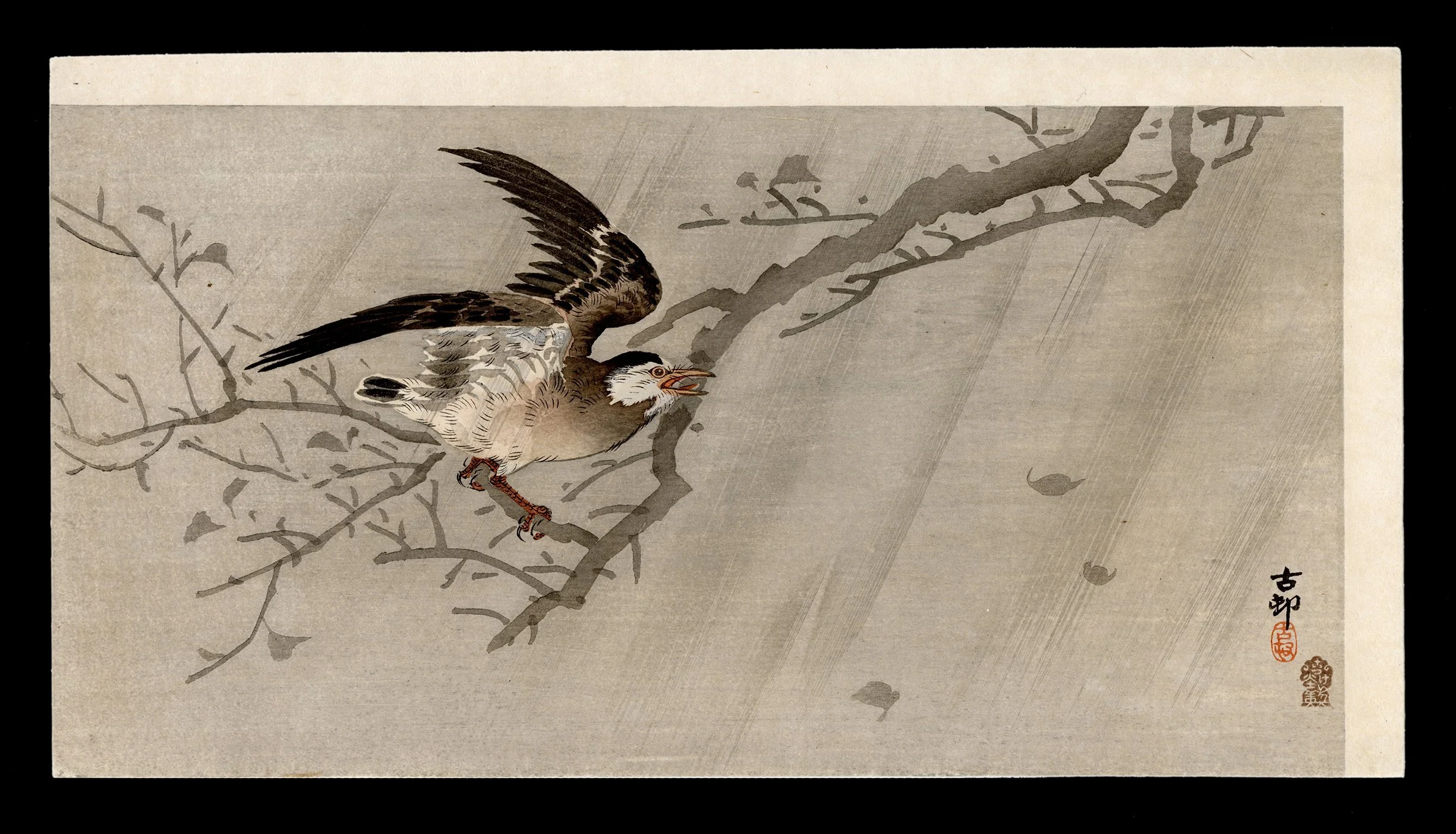 Koson_Gray_Starlings_on_Tree_Branch-web.jpg