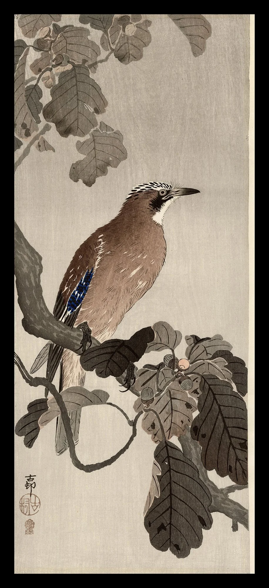 Koson_Jay_on_Oak_Branch-web.jpg