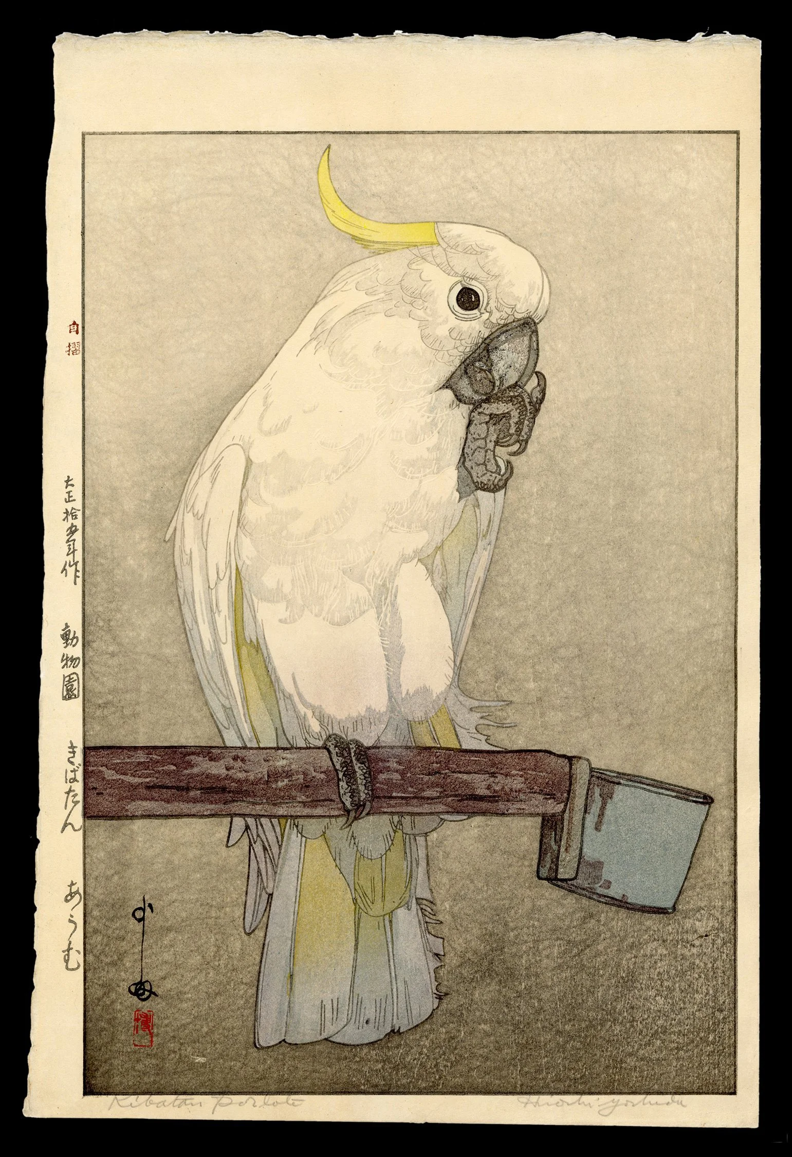 Yoshida_Hiroshi_Parrot-web.jpg