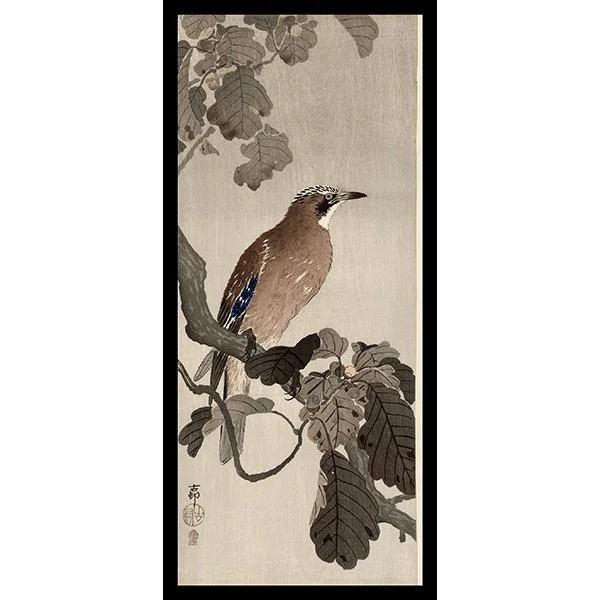 <b>JAY ON OAK BRANCH</b> / <em>Ohara Koson<br>20th Century<br><br><b>SOLD</b></em>