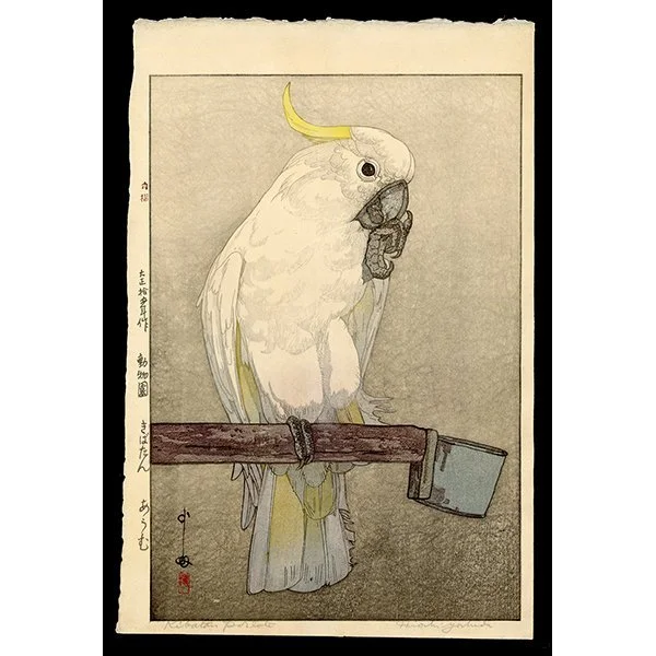 <b>KIBATAN PARROT</b> / <em>Hiroshi Yoshida<br>1926<br><br><b>SOLD</b></em>
