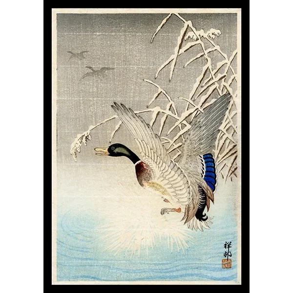 <b>DUCKS IN FLIGHT</b> / <em>Ohara Shoson<br>20th Century<br><br>$400</em>