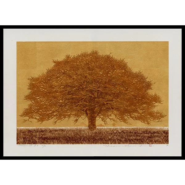 <b>TREE SUNSET 65</b> / <em>Hajime Namiki<br>1996<br><br>$2,200</em>