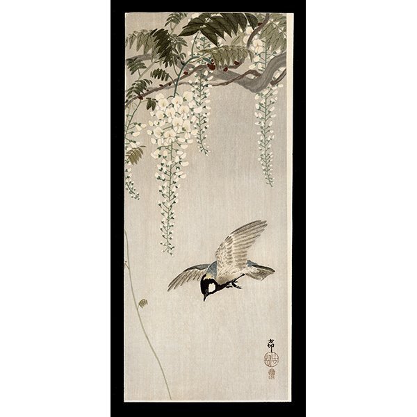 <b>GREAT TIT IN FLIGHT, A FLOWER WISTERIA ABOVE</b> / <em>Ohara Koson<br>20th Century<br><br><b>SOLD</b></em>