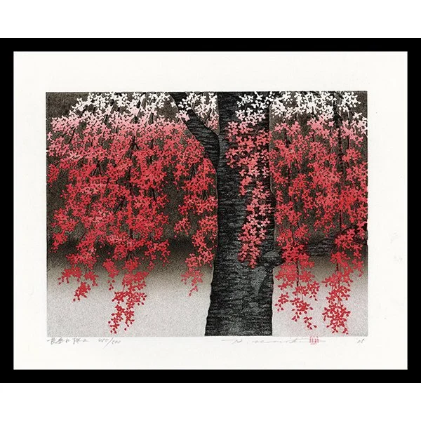<b>WEEPING CHERRY BLOSSOMS</b> / <em>Hajime Namiki<br>2005<br><br>$950</em>